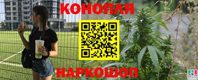 первитин Камышлов