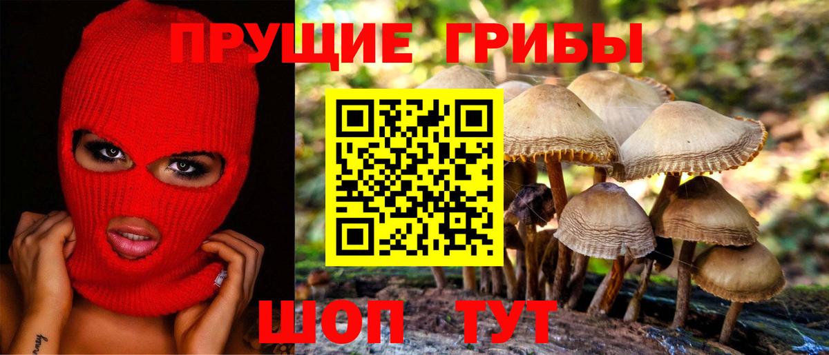 Галлюциногенные грибы прущие грибы  Вход с VPN  наркошоп  Бирск 